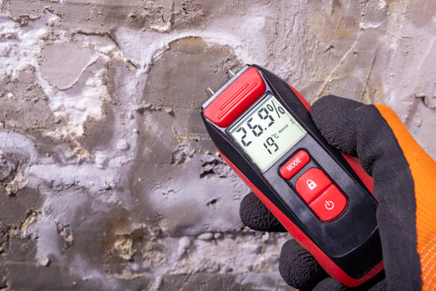 Best Mold Testing  in Yelm, WA