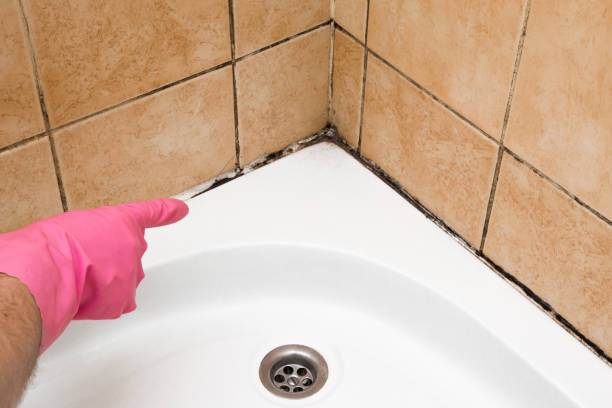 Best Emergency Mold Removal  in Yelm, WA